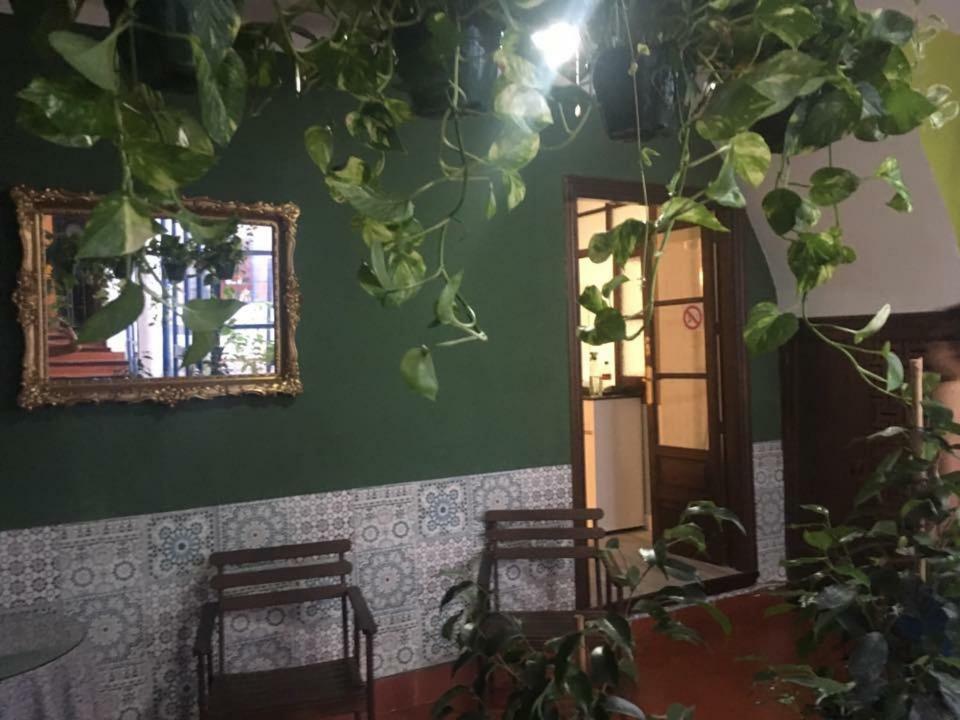 Отель El Sueno De La Juderia Кордова Экстерьер фото